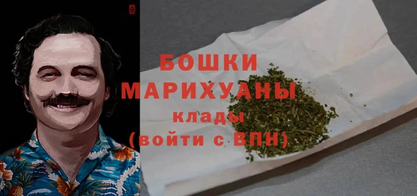 мяу мяу кристалл Гусь-Хрустальный