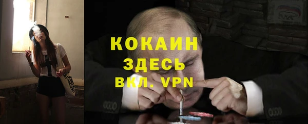 мяу мяу кристалл Гусь-Хрустальный