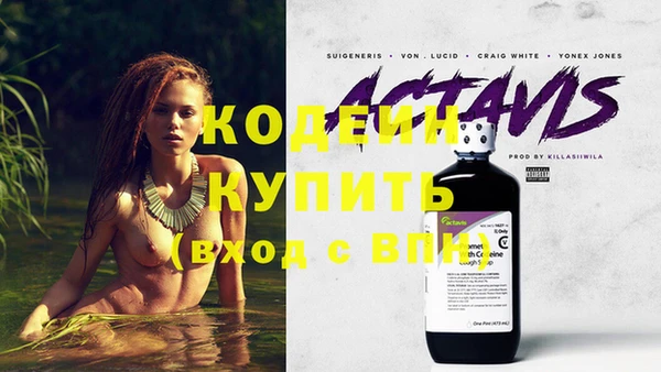мяу мяу кристалл Гусь-Хрустальный