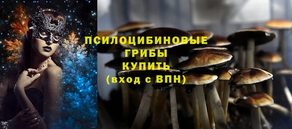 метамфетамин Гусев