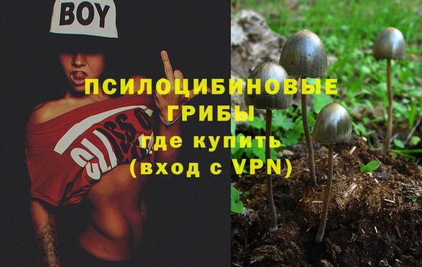 метамфетамин Гусев