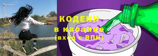 мяу мяу кристалл Гусь-Хрустальный