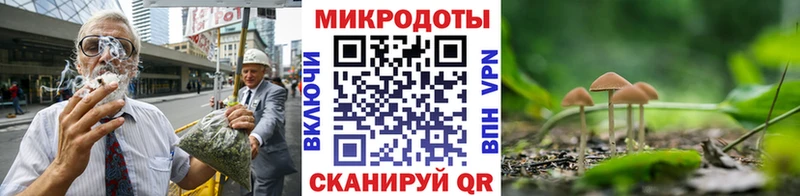 Галлюциногенные грибы Magic Shrooms  Новошахтинск 