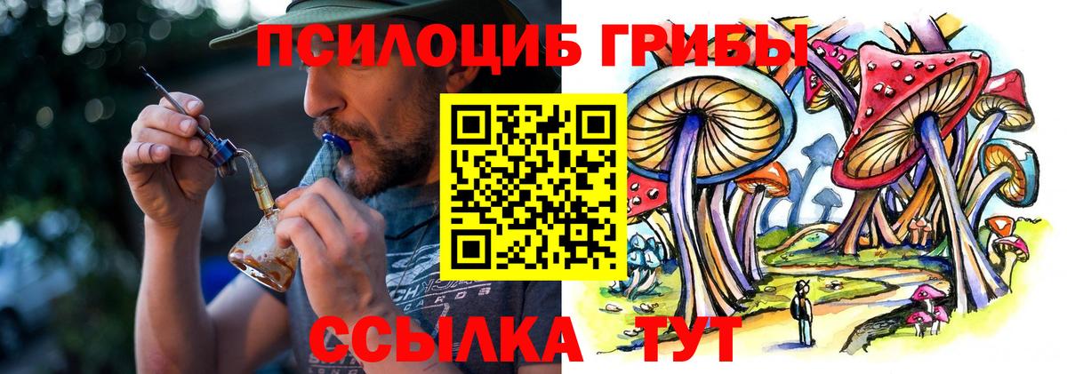 Галлюциногенные грибы мицелий Новошахтинск