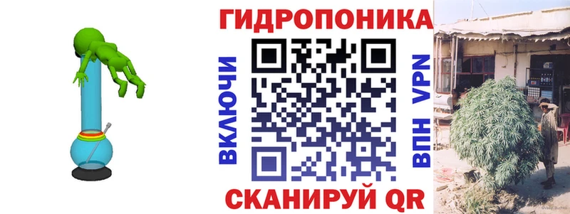 Бошки Шишки Amnesia  Новошахтинск 